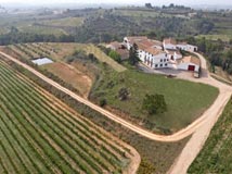 Bodega J. Miquel Jané