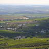 montilla moriles