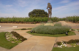 Bodegas Museum
