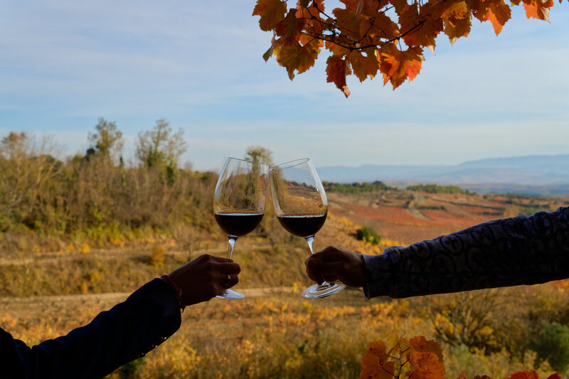 Catas privadas, rutas, experiencias y gastronomÃ­a