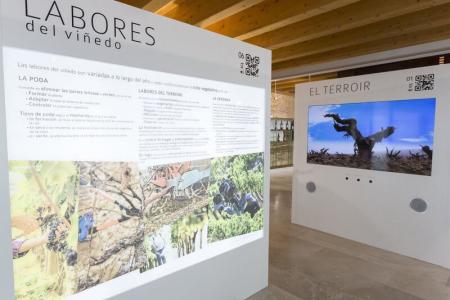 Museo provincial del Vino de Valladolid