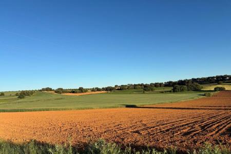 Campos de El Peral