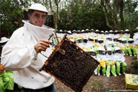Museo de Miel y las Abejas de Jerez