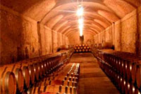 Bodegas Arúspide