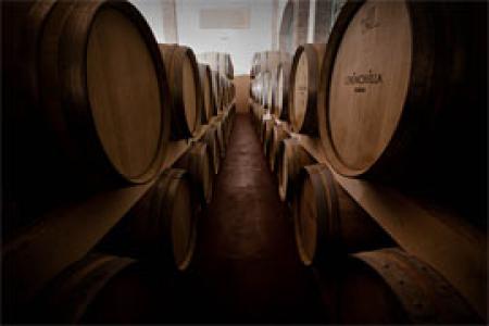 Bodega Doña Felisa