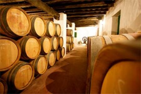 Bodegas Cortijo de Jara