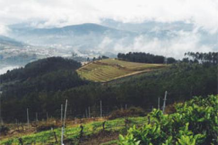 Bodegas Viña Costeira