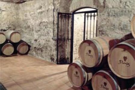 Bodegas Dionisos
