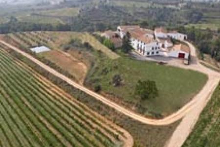 Bodega J. Miquel Jané