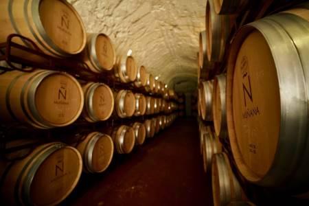 Bodegas Muñana