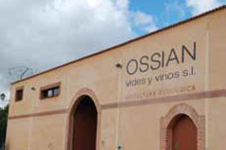 Bodegas Ossian Vides y Vinos