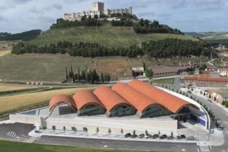 Bodegas Protos