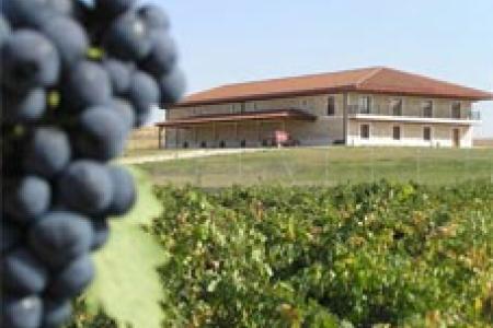 Bodegas Raíz