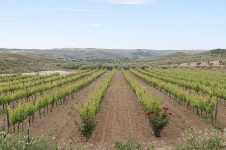 Bodega Val Azul