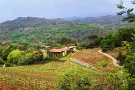 Bodegas Viña Mein