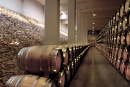 Bodegas Finca Antigua