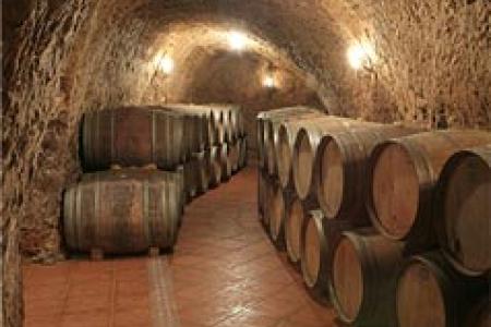 Bodega Renalterra