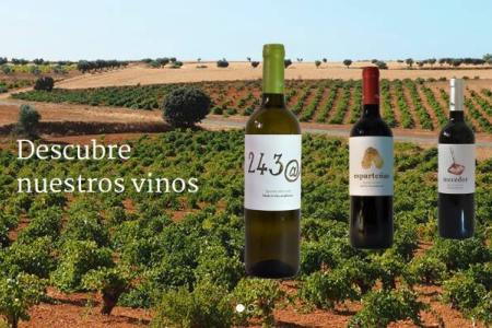 Solera Bodegas