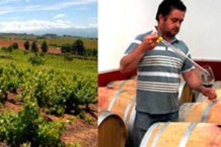 Bodegas y Viñedos Vinos Valtuille