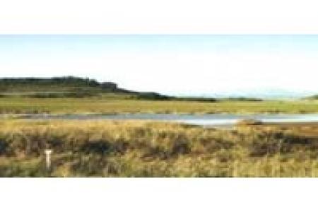 Lagunas de Archidona