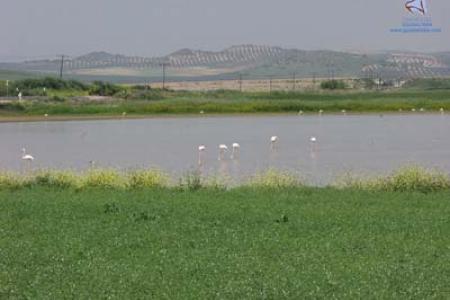 Lagunas de Campillos.