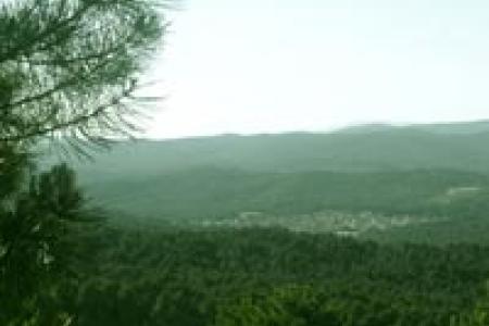 Navaleno visto desde su pinar.