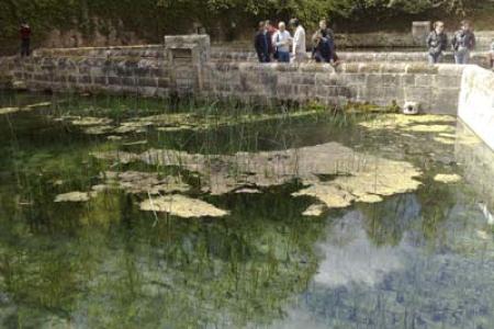 Estanques de los Jardines del Monasterio.
