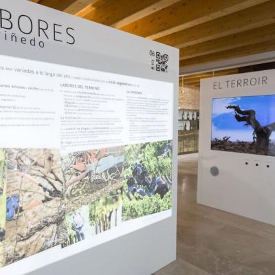 Museo provincial del Vino de Valladolid