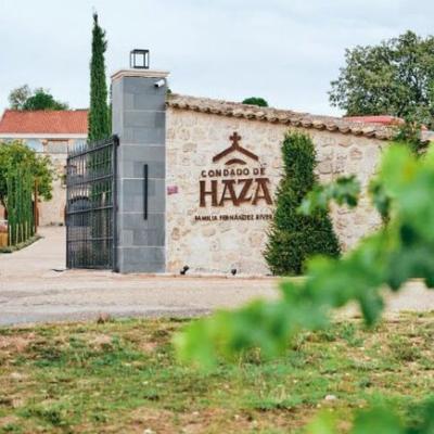 Bodega Condado de Haza