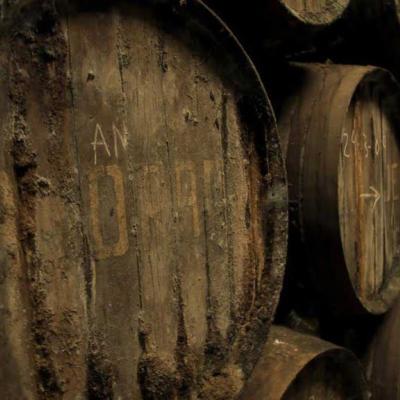 Visitas Bodegas Andrade