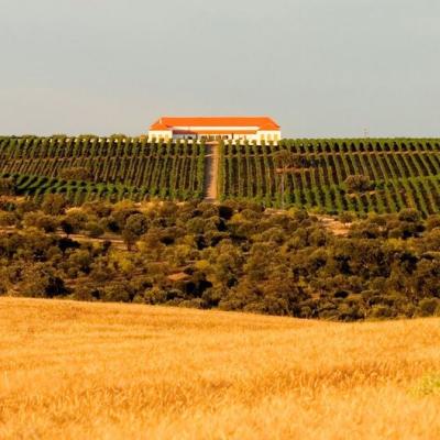 Bodega Palacio Quemado DO Ribera Guadiana