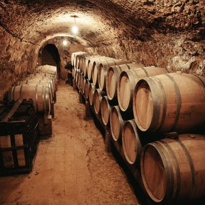 Bodega Remigio Salas