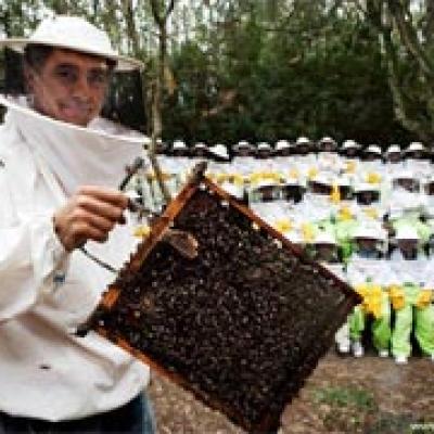 Museo de Miel y las Abejas de Jerez