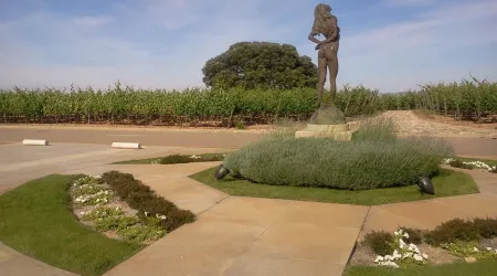 Bodegas Museum, en Cigales, Valladolid