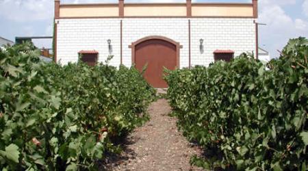 Bodegas Romero DO Ribera del Guadiana