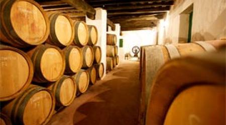 Bodegas Cortijo de Jara