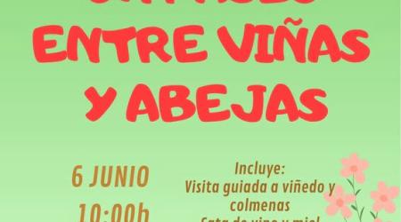 La Bodega Remigio Salas programa experiencias enoturísticas