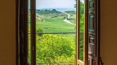 Conoce la Rioja Alavesa desde La Molinera Etxea