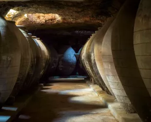 Enoturismo y cuevas, dos opciones para hacer turismo en Tomelloso