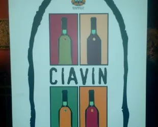CIAVIN: el alma subterránea del vino en Aranda de Duero