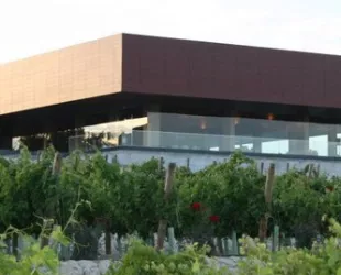 Bodegas Luis Pérez