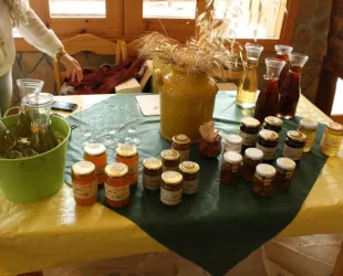 Muestrario de mieles y vinos de Jerez